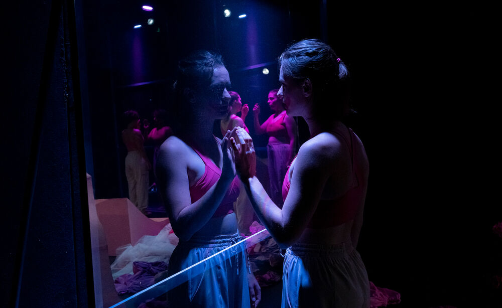 Teatrul German Timișoara găzduiește două spectacole invitate de la Teatrul din Bruchsal