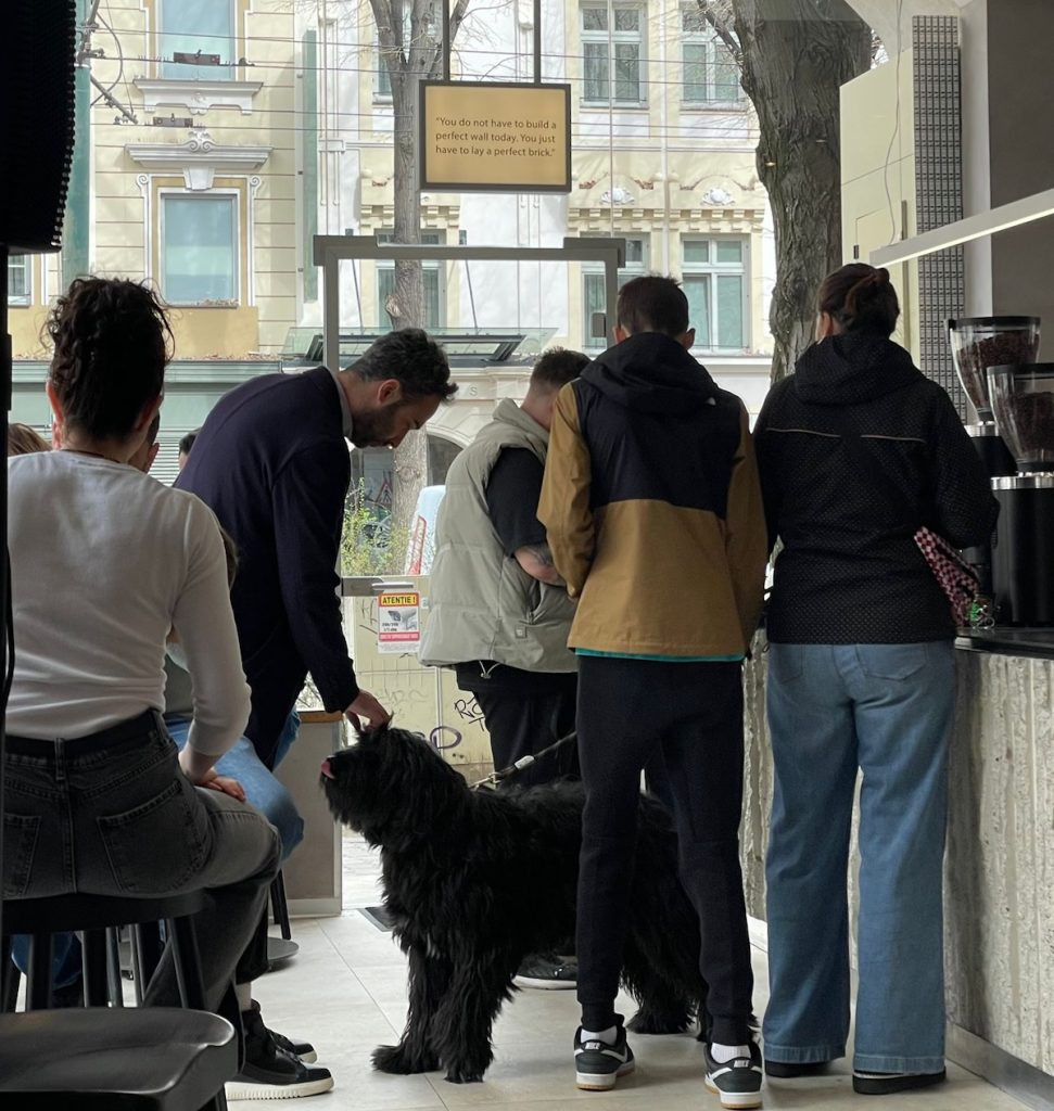 Locul unde brunch-ul devine ritual: Brick By Brick