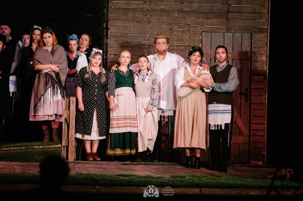 Scripcarul pe acoperiș. O lecție de viață!